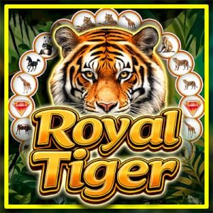 Royal Tiger Spinner game cover