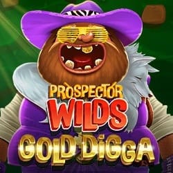 Prospector Wilds_ Gold Digga game cover