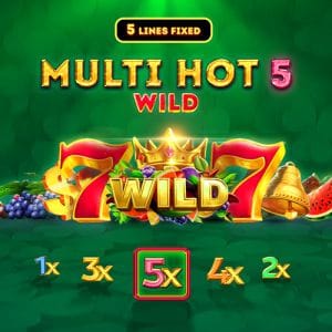 MultiHot5Wild game cover